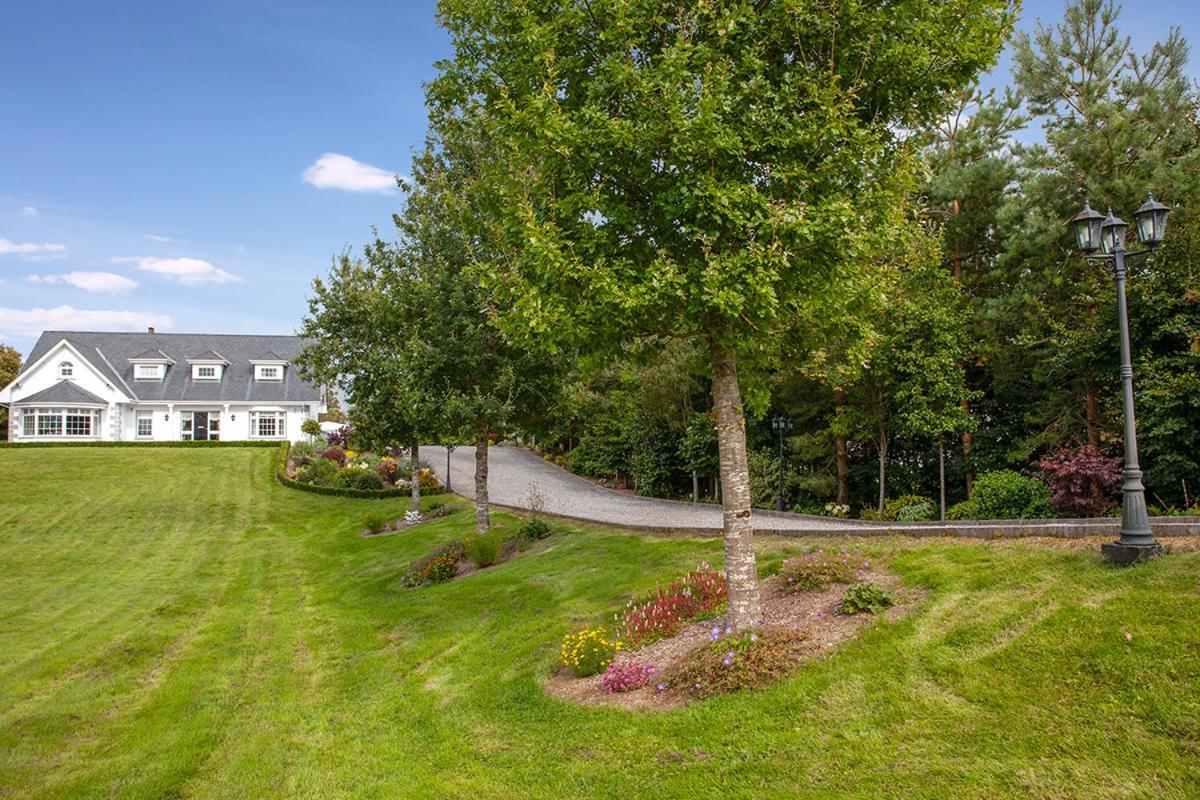 The Ridgewood Lodge Newbridge  Bagian luar foto